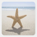 Pesquisar por eua adesivos Dia