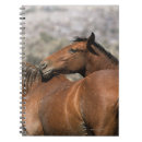 Pesquisar por mustang cadernos de notas Equestre