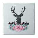Pesquisar por cervos azulejos Antlers