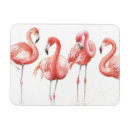 Pesquisar por flamingo tropical imas Pássaros