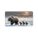 Pesquisar por filhote de urso Natureza