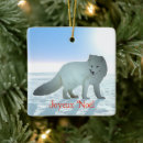 Pesquisar por raposa ornamentos Alaska