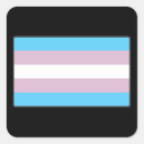 Pesquisar por transporte artesanato material Orgulho do transgender