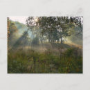 Pesquisar por pantanal cartoes postais Natureza