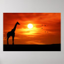Pesquisar por silhuetas animais pósteres pôsteres África