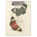 Pesquisar por borboletas presentes Natureza