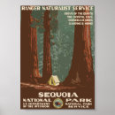 Pesquisar por sequoia pôsteres Sequóia