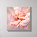 Pesquisar por borrão impressão de canvas Rosa