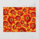 Pesquisar por flor vermelha e amarela cartoes postais Flores