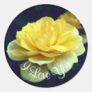 Pesquisar por flores amarelas adesivos Rosa