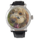 Pesquisar por golden retriever relogios de parede Cachorro