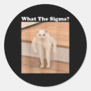 Pesquisar por memes engraçados adesivos Mãe do gato