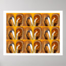 Pesquisar por caverna pôsteres Qualquer pessoa