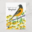 Pesquisar por flores pretas cartoes postais Qualquer pessoa