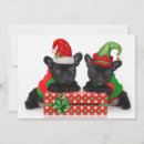 Pesquisar por background cartoes Animal