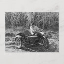 Pesquisar por preto lobo cartoes postais Branco