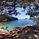 Pesquisar por decepção cartoes postais Washington