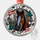 Pesquisar por cavalo marrom ornamentos Animais