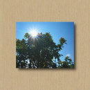 Pesquisar por raios sol de impressão de canvas Natureza