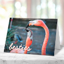 Pesquisar por aves aquáticas cartoes Fotografia
