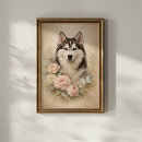 Pesquisar por husky siberiano pôsteres Cachorro