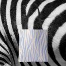 Pesquisar por zebra sacos acessorios Qualquer pessoa