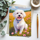 Pesquisar por maltês cartoes postais Cachorro