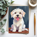 Pesquisar por maltês branco cartoes postais Pintura