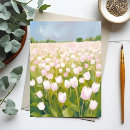 Pesquisar por tulipas brancas cartoes postais Branco