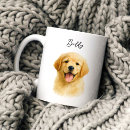 Pesquisar por memoriais cozinha jantar For pets