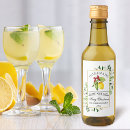 Pesquisar por verde limão armazenamento alimentos Limoncello caseiro