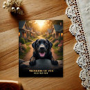 Pesquisar por labrador retriever cartoes postais Cachorro
