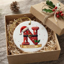 Pesquisar por letra n ornamentos Natal