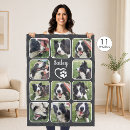 Pesquisar por dog fotografia For pets