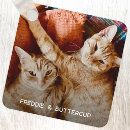 Pesquisar por gato divertido chaveiros Moderno