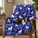 Pesquisar por do terrier de boston Dogs