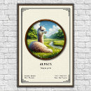 Pesquisar por alpacas pósteres pôsteres Vintage