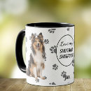 Pesquisar por sheepdog de shetland canecas Cachorro