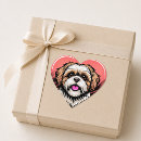 Pesquisar por shih tzu adesivos Família