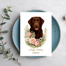 Pesquisar por chocolate labrador cartoes Animal