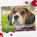 Pesquisar por cachorrinhos natal cartoes Cão