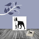 Pesquisar por breed Canino