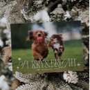 Pesquisar por furado cartoes Furado e brilhante