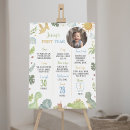 Pesquisar por dinossauro verde pósteres pôsteres Selva