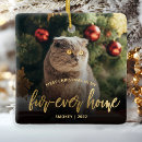 Pesquisar por animal novo ornamentos For pets