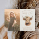 Pesquisar por cow convites Vaca em terras altas