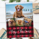 Pesquisar por damo cartoes Feriado