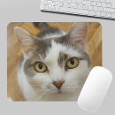 Pesquisar por gato eletronicos Modelo