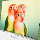 Pesquisar por aviário calendarios Papagaio