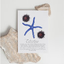 Pesquisar por sea cartoes postais Concha